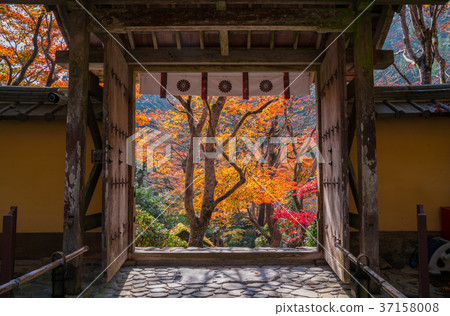 京都大原Shoko-in秋葉 37158008
