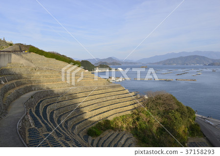 [Uwajima City, Ehime Prefecture] Terraced fields of Yuko 37158293