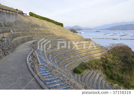 [愛媛縣宇和島市]湯子的梯田 37158319