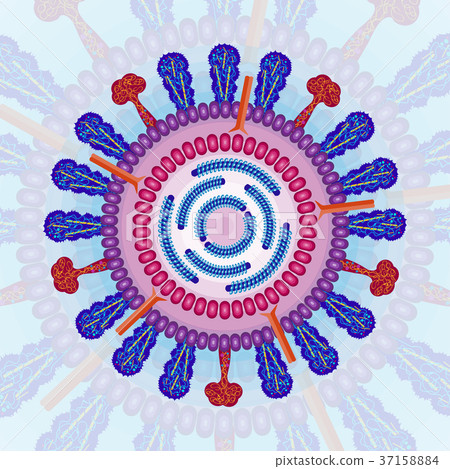 Colourful Parvovirus b19 particle structure 37158884