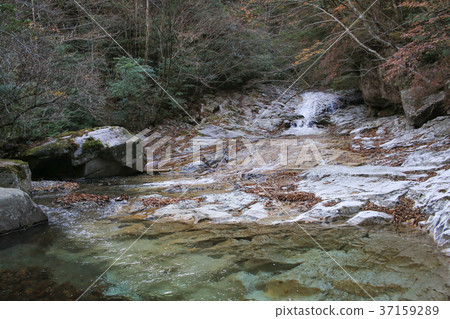 Mukakei Amagishi Kawahara Kumantogen-cho Ehime Prefecture Mukakei Amagishi Kawahara Kumantogen-cho Ehime Prefecture 37159289