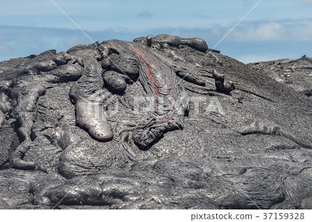 lava in lava field Hawaii volcanoes National Park lava in lava field Hawaii volcanoes National Park 37159328