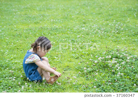 Girl picking flowers Girl picking flowers 37160347