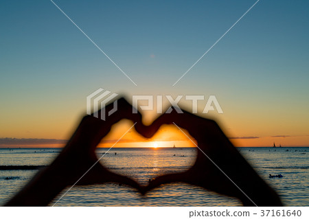 heart heart 37161640