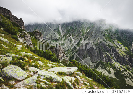 The mist getting down on the Tatras, Slovakia. The mist getting down on the Tatras, Slovakia. 37162199