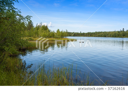 Landscape with lake in sunny day,Finland Landscape with lake in sunny day,Finland 37162616