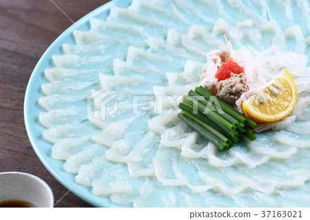 河豚生魚片 河豚生魚片 37163021