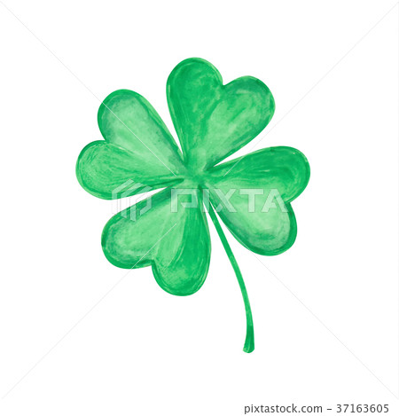 Four leaf clover 37163605