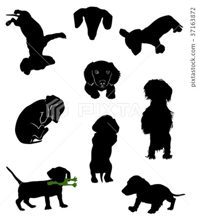Silhouettes Of Dachshunds Vector Illustration Stock