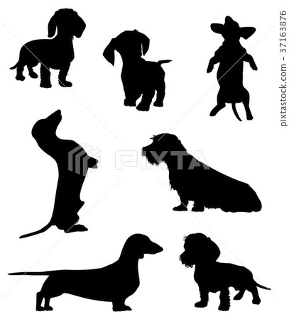 Silhouettes Of Dachshunds Vector Illustration Stock