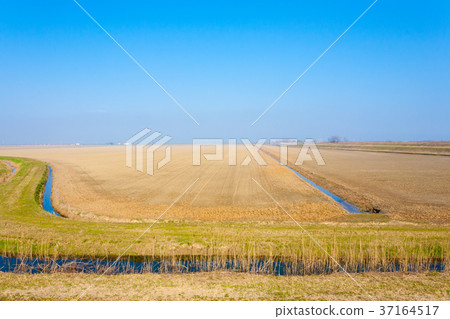 Rural Italian landscape from Po river lagoon. Rural Italian landscape from Po river lagoon. 37164517
