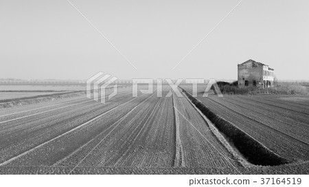 Rural Italian landscape from Po river lagoon. 37164519