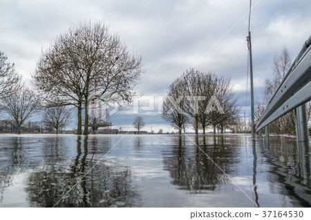 The river Rhine is flooding the city of Duisburg 37164530