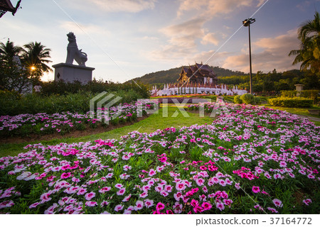 Pink flower gardens with Hor khum luang temple  37164772