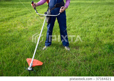 Man mows a grass Man mows a grass 37164821