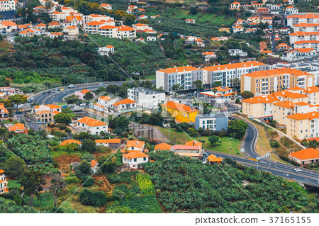 roof tops of buildings in Funchal, Madeira 37165155