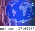 International (working)Womens' Day. 37165327