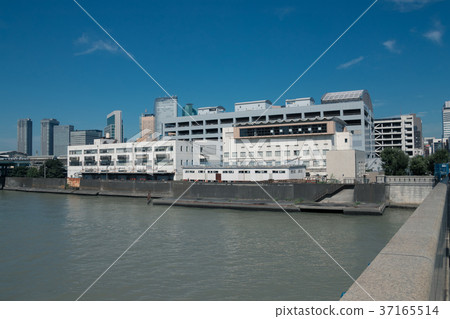 築地魚市場 風景 景觀 37165514