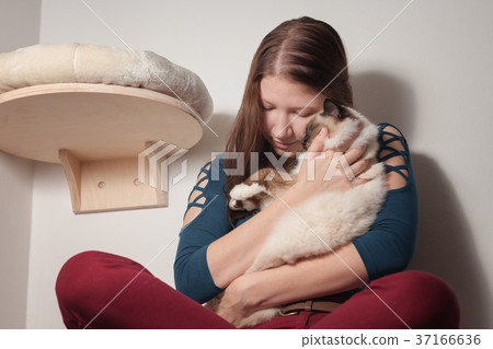 Young woman is hugging her Birman cat Young woman is hugging her Birman cat 37166636