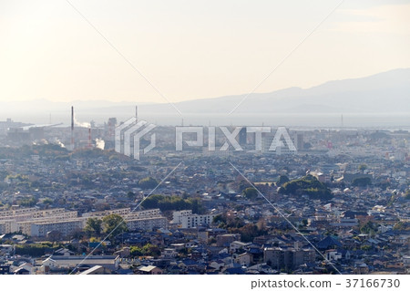 Cityscape of Omuta City View from Mt. Oma 37166730