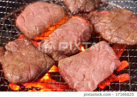 肉牛 37166820