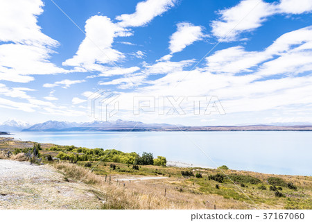 普卡基湖Twizel-Mt Cook國家公園 37167060