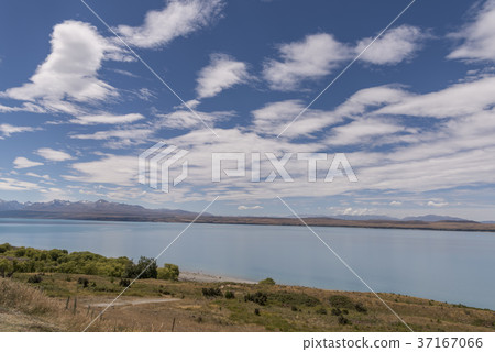 普卡基湖Twizel-Mt Cook國家公園 37167066