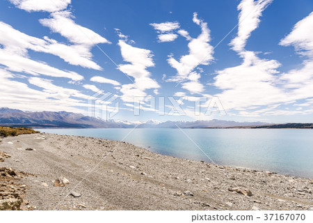 普卡基湖Twizel-Mt Cook國家公園 37167070
