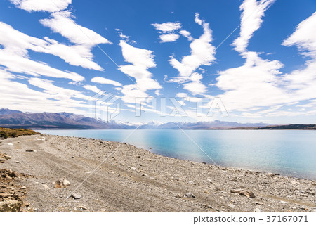 普卡基湖Twizel-Mt Cook國家公園 37167071