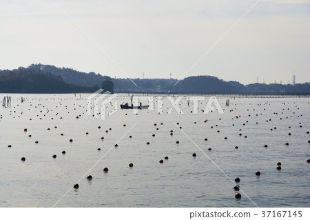 Japan's Three Views, Islands of Matsushima Bay 37167145