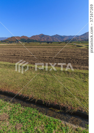 Muikamachi秋天的農村場景 37167169