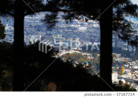 [國家歷史遺址 -  100座大城堡的續集]從石垣山一夜城堡看到的小田原城堡（征服圖像前的小田原英雄） 37167724