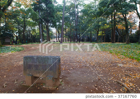 [國家歷史遺址 -  100座大城堡的續集]石垣山隔夜城堡本丸遺址 37167760