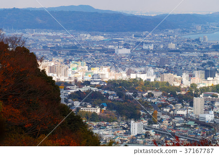 [National Historic Site, Sequel to the 100 Great Castles] Odawara Castle seen from Ishigakiyama overnight castle (Odawara conquest) 37167787