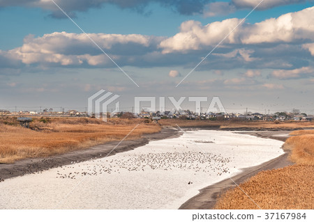 Landscape of the Yomogawa River 37167984