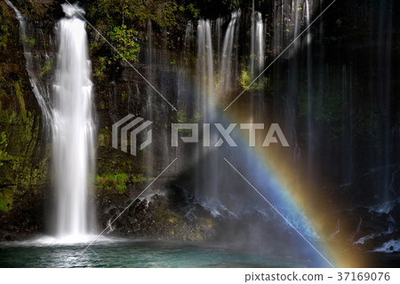 Shiraito Falls and Rainbow 37169076