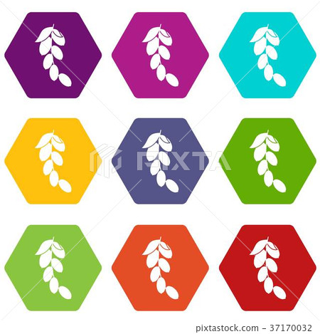 Branch of cornel or dogwood berries icon set color hexahedron 37170032