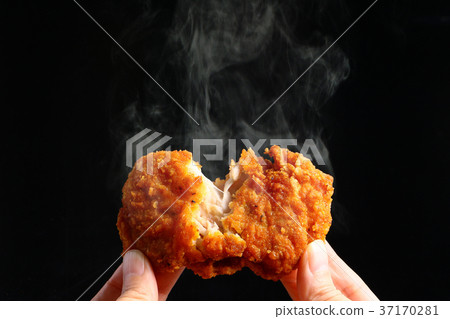 fried chicken  37170281