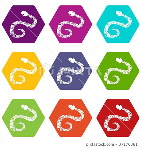 Snake icon set color hexahedron 37170361