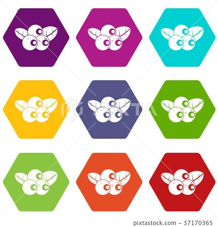Blueberries icon set color hexahedron Blueberries icon set color hexahedron 37170365