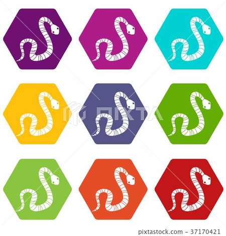 Striped snake icon set color hexahedron Striped snake icon set color hexahedron 37170421