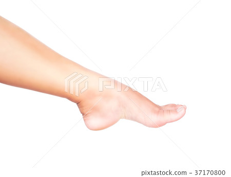 Legs woman on white background for skin care 37170800