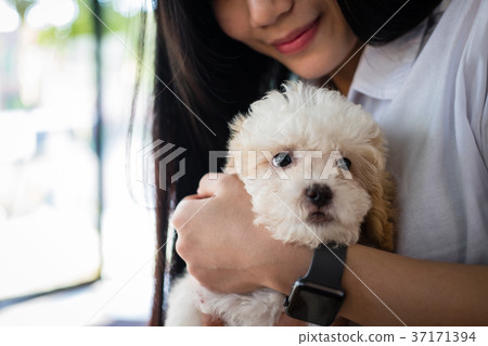 woman holding adorable dogt. female teenager with pet at home. people, animal, lifestyle concept woman holding adorable dogt. female teenager with pet at home. people, animal, lifestyle concept 37171394