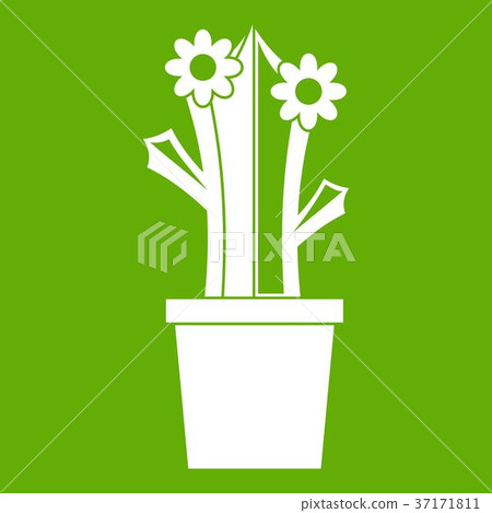 Flowering cactus icon green 37171811