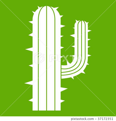 Mexican cactus icon green Mexican cactus icon green 37172351