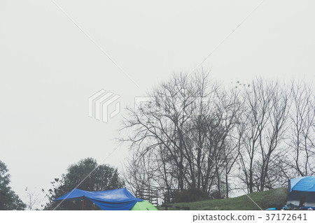 tourist tent in mist & fog. camping in forest. travel, vacation concept tourist tent in mist & fog. camping in forest. travel, vacation concept 37172641