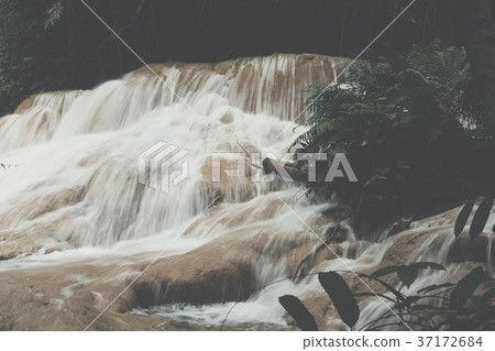 waterfall in rainforest. cascade in forest. water flowing in tropical jungle waterfall in rainforest. cascade in forest. water flowing in tropical jungle 37172684