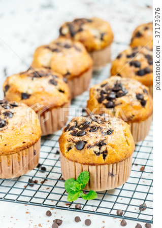 Chocolate chip muffin 37173976