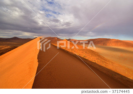 非洲_納米布沙漠02 37174445