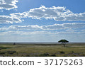 Africa_ Horizon 03 37175263